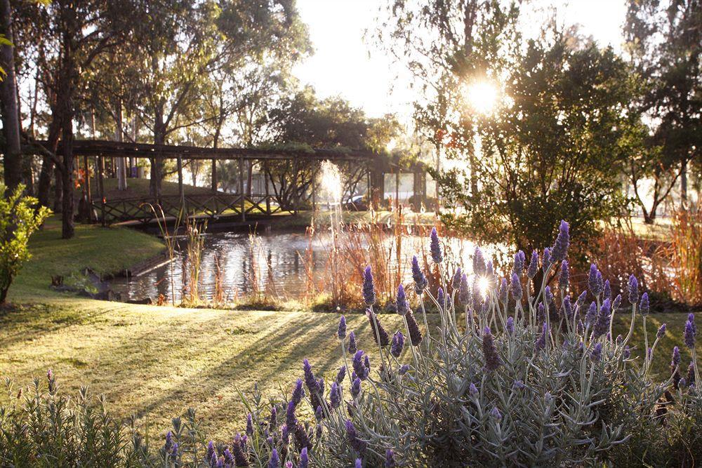 Hunter Valley Resort, Hunter Farm Adventure Centre & 4 Pines At The Farm Pokolbin Exteriér fotografie
