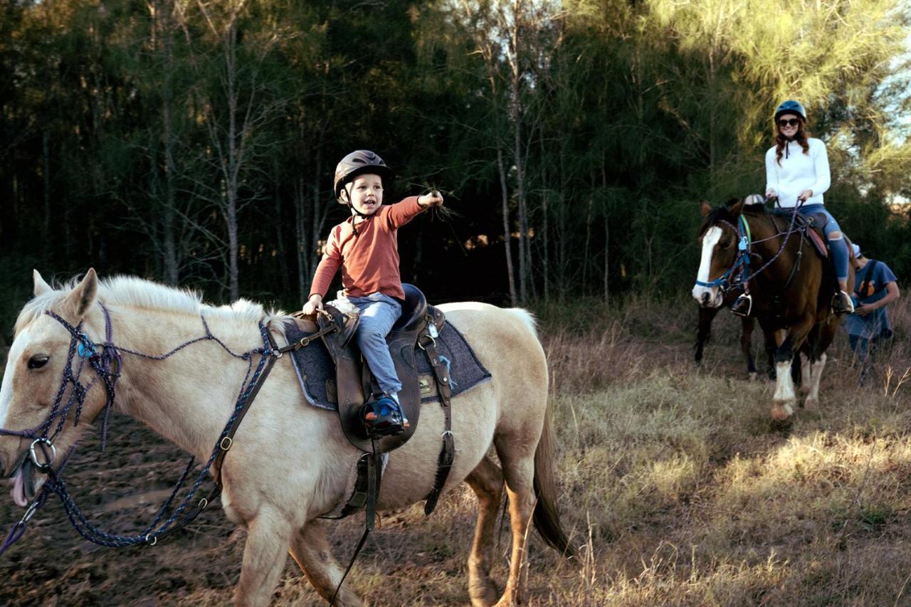 Hunter Valley Resort, Hunter Farm Adventure Centre & 4 Pines At The Farm Pokolbin Exteriér fotografie