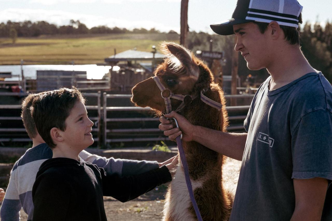 Hunter Valley Resort, Hunter Farm Adventure Centre & 4 Pines At The Farm Pokolbin Exteriér fotografie