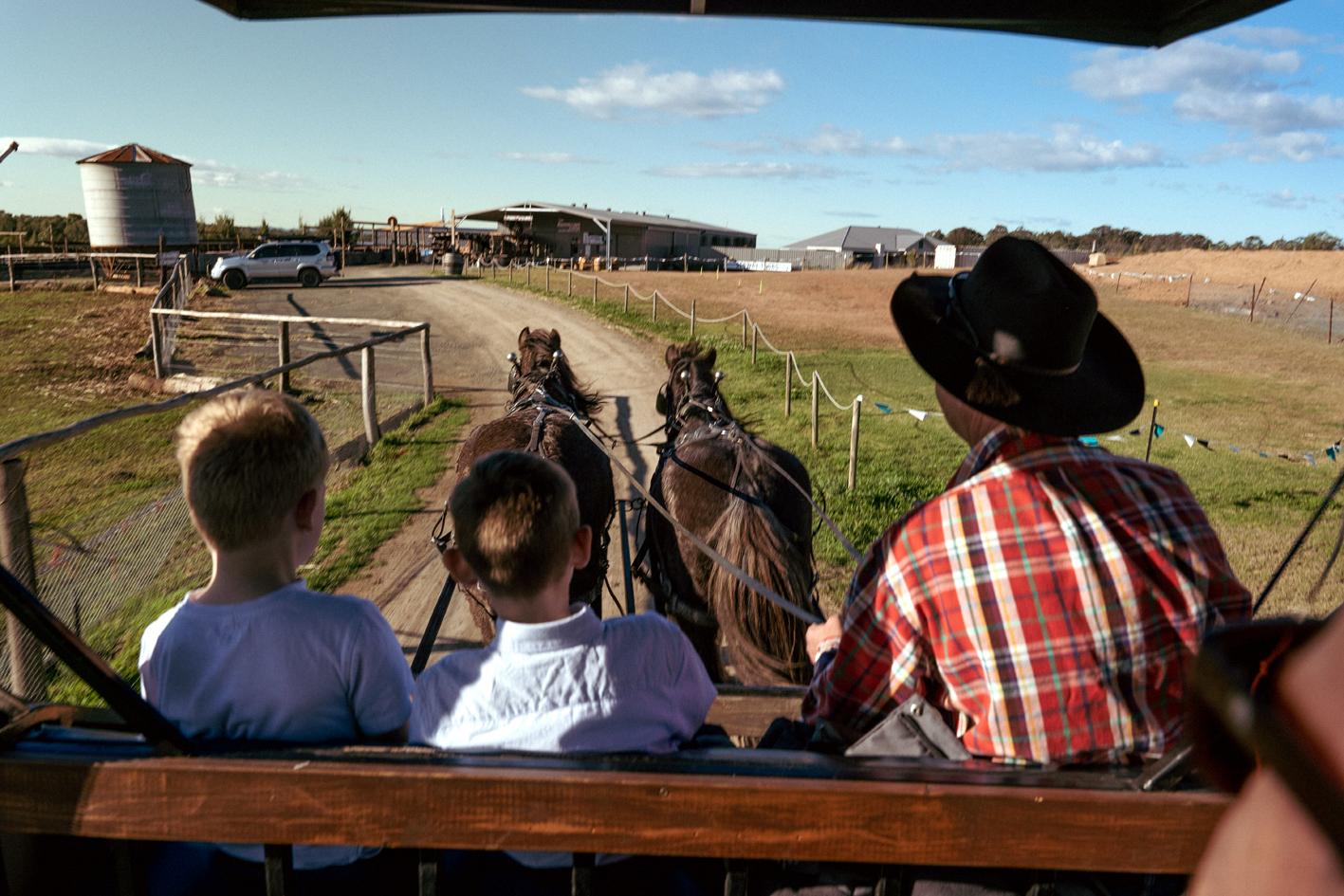 Hunter Valley Resort, Hunter Farm Adventure Centre & 4 Pines At The Farm Pokolbin Exteriér fotografie