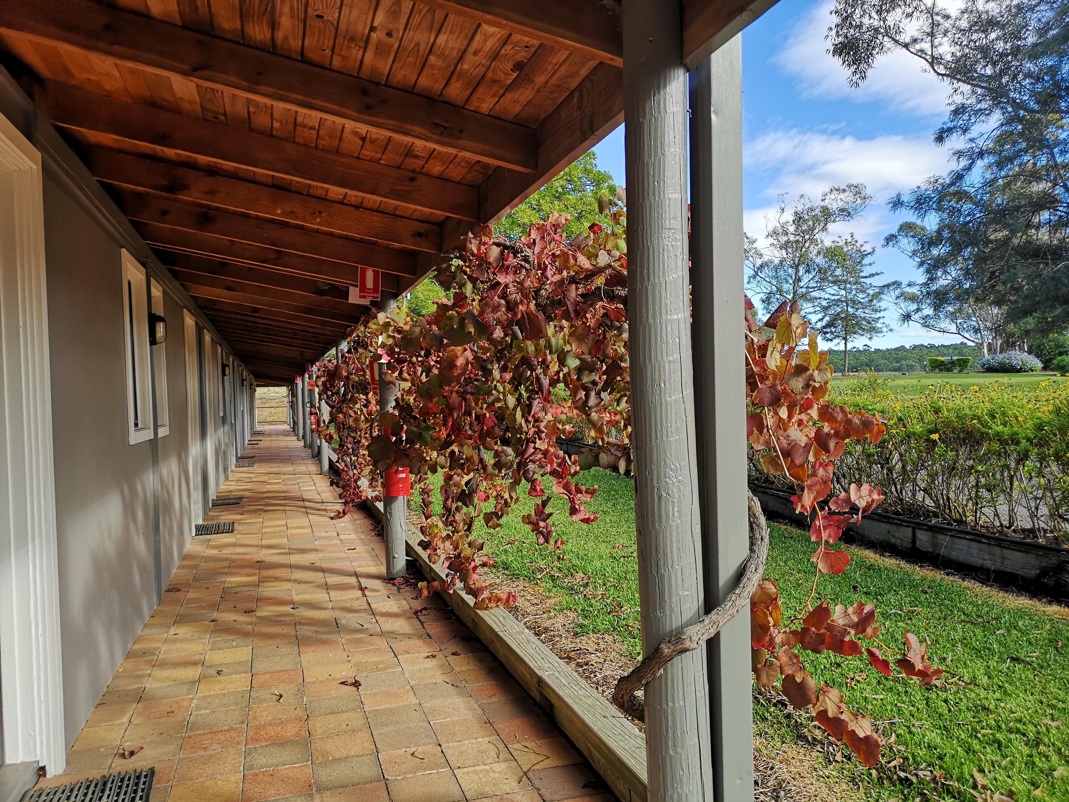 Hunter Valley Resort, Hunter Farm Adventure Centre & 4 Pines At The Farm Pokolbin Exteriér fotografie