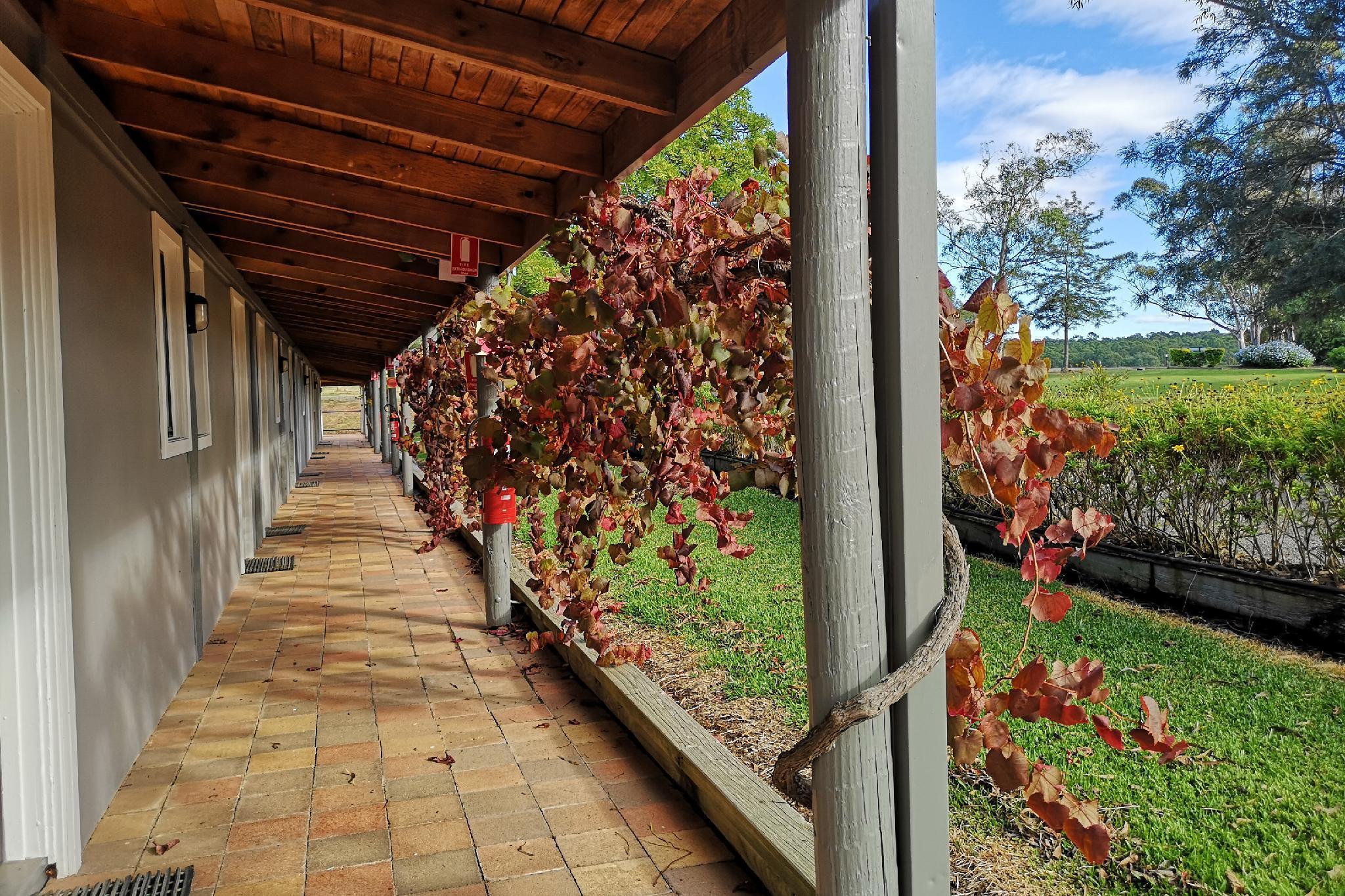 Hunter Valley Resort, Hunter Farm Adventure Centre & 4 Pines At The Farm Pokolbin Exteriér fotografie